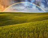 Fototapeta Tęcza - Scenic view of rainbow over green field
