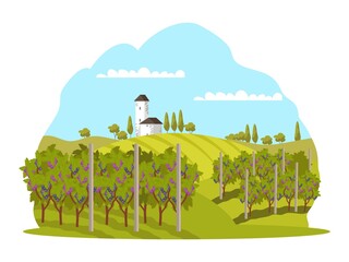 Grape vineyards in winery landscape background. Wine production at farm vector illustration. Growing grapes for producing harvest with trees. Rural scene with church and meadow