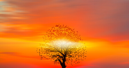 Aufkleber - Silhouette of birds flying over lone dead tree at sunset