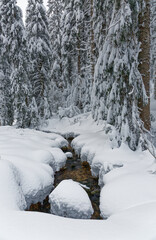 Poster - ruisseau sous la neige