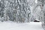 Fototapeta Do pokoju - chalet des Vosges en hiver