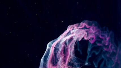 Wall Mural - Mystic Smoke on Black Background.