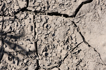 Wall Mural - ecology, drought, temperature, cracks in the ground close-up. Cracked earth, cracked soil. texture of grungy dry cracking parched earth. Global warming effect