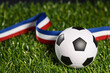 sport ballon football championnat jouer joueur match gazon pelouse terrain France