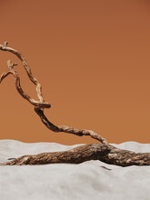 Minimal Abstract Mockup Background For Product Presentation. Dry Tree Twigs Branch With White Sand Beach On Brown Background. 3d Rendering Illustration. Clipping Path Of Each Element Included.
