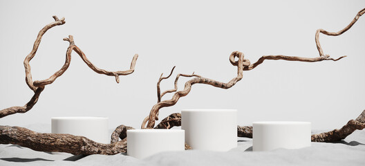 minimal mockup background for product presentation. podium and dry tree twigs branch with white sand