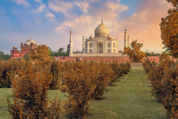 Fototapete - Iconic Taj Mahal Agra at sunset as viewed from Mehtab Bagh on the banks of river Yamuna