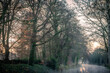 © alan - Foggy Sunrise at Irish Canal