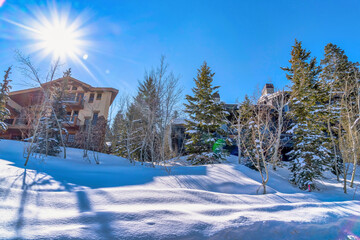 Canvas Print - Sunlight beaming down on snow surrounding the houses and trees in winter