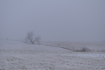 Sticker - Fog Over a Snowy Field