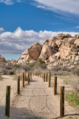 Wall Mural - Nature trail with hiking path against rocks and sky at Joshua Tree National Park