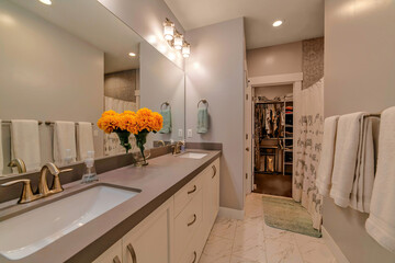 Wall Mural - Bathroom vanity with double rectangular sink on gray countertop over cabinets