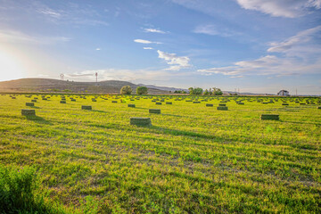 utah valley agricultural landscape of farmland with vibrant green pasture