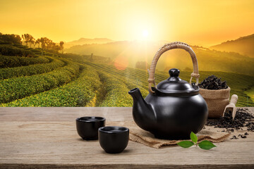 Cup of hot tea with teapot, green tea leaves and dried herbs on the wooden table in plantations background with empty space, Organic product from the nature for healthy with traditional