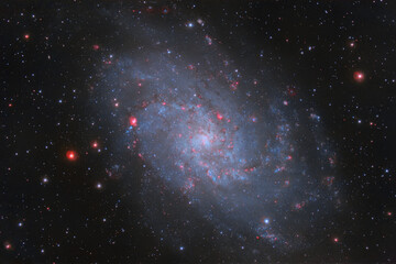 Wall Mural - galaxy m33 against the background of dark space and multi-colored stars. photo of a real space objec