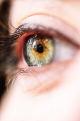 Macro photograph of a green eye