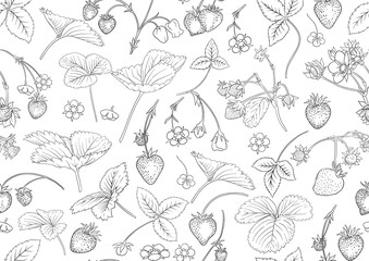  Strawberry. Ripe berries. Seamless pattern, background. Outline vector illustration. In botanical style Isolated on white background..