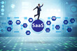© Elnur - Software as a service - SaaS concept with businessman