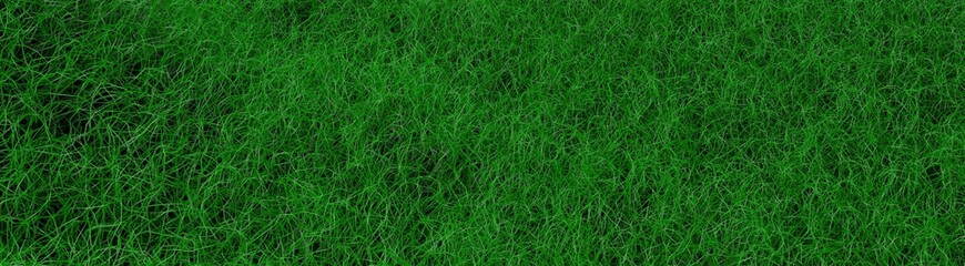 Poster - The image of the grass. 3d rendering.