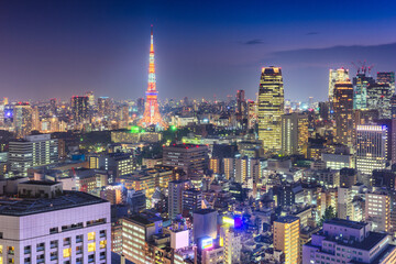 Wall Mural - Tokyo, Japan cityscape and tower