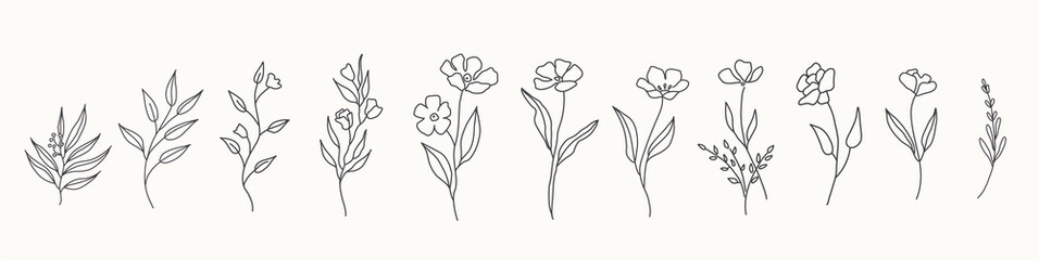 Wall Mural - Set of cute hand drawn flowers, branches, leaves. Vector line arrangements for greeting card or invitation design
