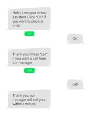 Poster - Dialogue with chat bot in web application. Communication with virtual assistant and request for help online vector messenger.