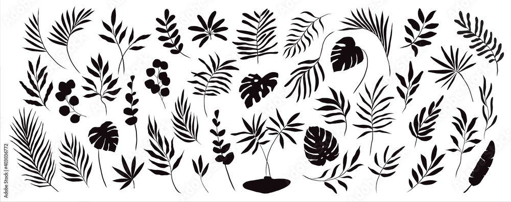 set of hand drawn modern tropical exotic leaves and branches silhouette ...