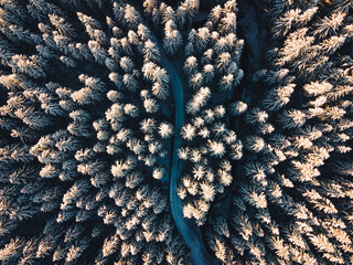 Wall Mural - High quality aerial photo of a road leading through the deep forest covered in the snow in the central Europe. Arctic aerial winter in the woods