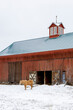 Horse and barn in winter.