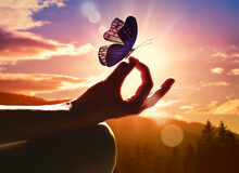 Close Up Of A Hand In A Meditation Pose And Butterfly.