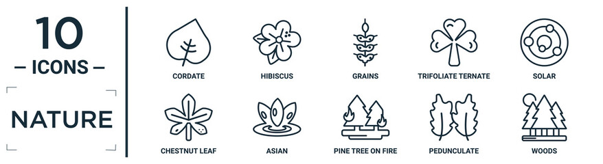 Poster - nature linear icon set. includes thin line cordate, grains, solar, asian, pedunculate, woods, chestn