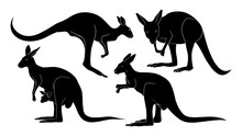 Hand Drawn Silhouette Of Kangaroo