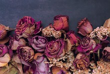 Still-life, Flowers And Roses Dried In Red, Orange, Violet And  Pink Colors On A Dark And Gray Color Background.