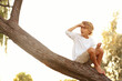 © New Africa - Cute little boy on tree outdoors. Child spending time in nature