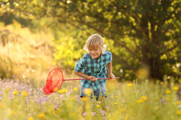 Sticker - Cute little boy with butterfly net outdoors. Child spending time in nature