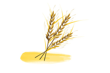 Wall Mural - Wheat seeds spikes watercolor symbol