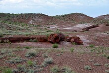 Landscape In The Arizona Desert