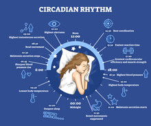 Circadian Rhythm As Educational Natural Cycle For Healthy Sleep And Routine