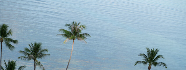 Tropical coconut palm trees over blue ocean and sunlight.