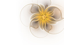 Abstract Fractal Golden Brown Flower On White Background