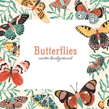 Butterflies Square Background Vector Flat Illustration. Exotic Beautiful Winged Insects Frame With Place For Text Isolated. Romantic Template With Tropical Colorful Moths And Leaves