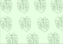 Monstera Plant Collage