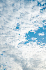 Wall Mural - Sky background with abstract gray clouds