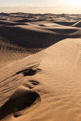 Wall Mural - footprints in the desert