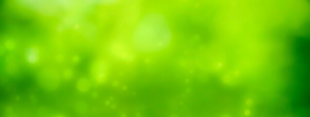 Wall Mural - Spring background - Holiday banner, panorama  - green blurred bokeh lights - Green bokeh abstract background
