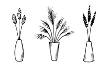 Hand-drawn Simple Vector Drawing In Black Outline. Panicle Inflorescences Of Pampas Grass, Reeds. Dried Flowers In A Vase, Home Decor, Boho Style.