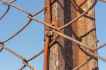 Close-up on a rusty metal pole rusty steel mesh chain link.An old fence.