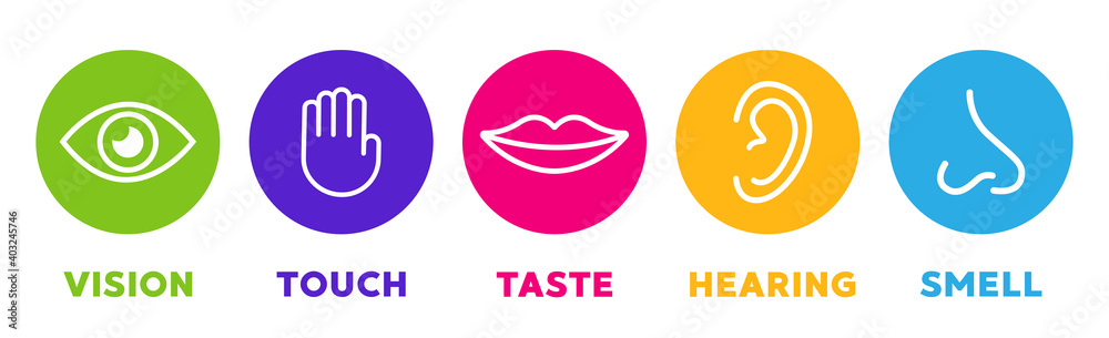Five senses vector icons set. vision, hearing, touch, taste, smell - obrazy, fototapety, plakaty 