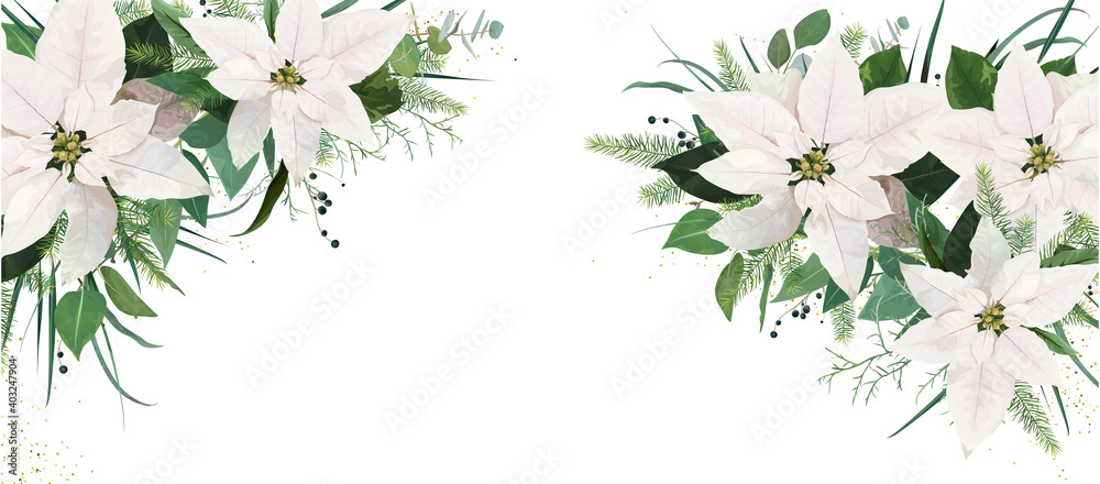 Elegant festive winter season floral site banner Facebook cover design. White Poinsettia flowers, Christmas spruce tree twigs, Eucalyptus greenery branches, green leaves, herbs watercolor illustration - obrazy, fototapety, plakaty 
