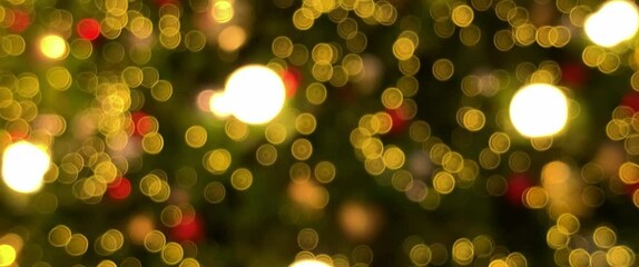 The film looks soft bokeh of Green Christmas tree_004.